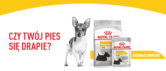 ROYAL CANIN CCN Mini Dermacomfort sausas maistas suaugusiems šunims, mažų veislių, su jautria oda, linkusiems į dirginimą 3 kg
